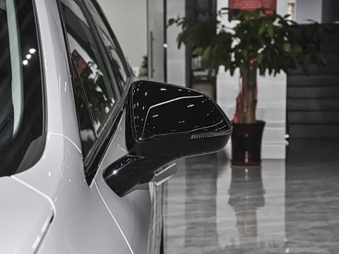 2026�� 520�Ǻ���