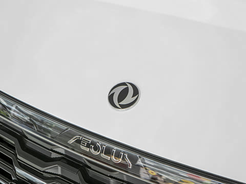 2025�� 1.5L ׿Խ��