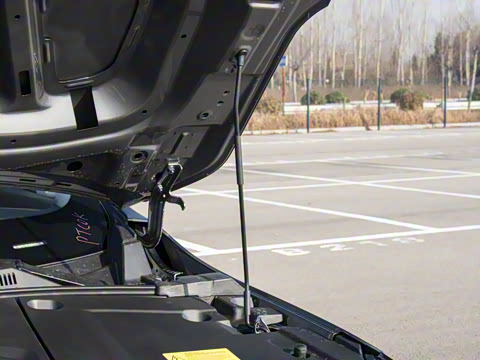 2026�� ��������