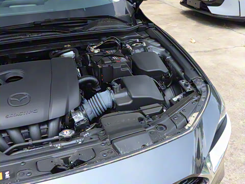 2025�� 2.0L �Զ����Ű�