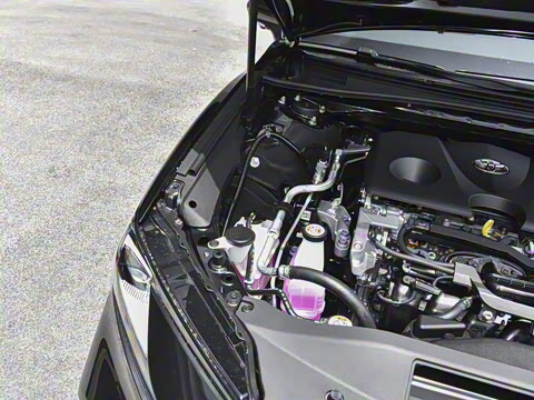 2026�� ˫�� 2.0HXS �˶�Plus��