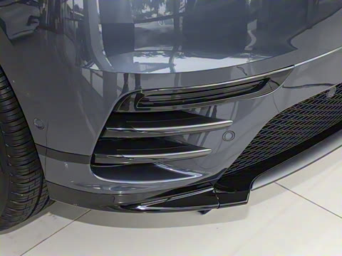 2026�� 250PS Dynamic SE