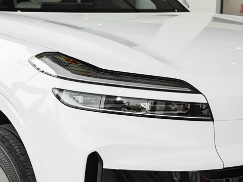 2025�� Max ������