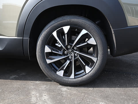 2026�� 2.5L ���а�