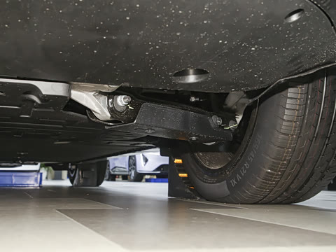 2025�� Max ���������