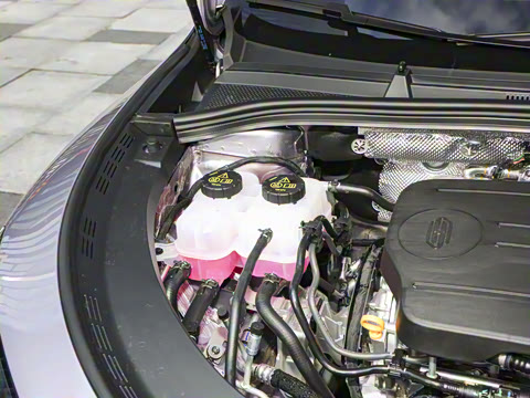 2025�� ���� Max