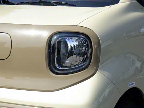 2026�� 222km �Ų���