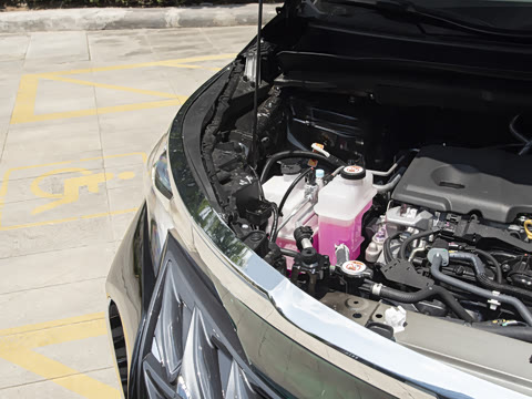 2026�� ������