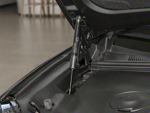 2025�� 670 Max��