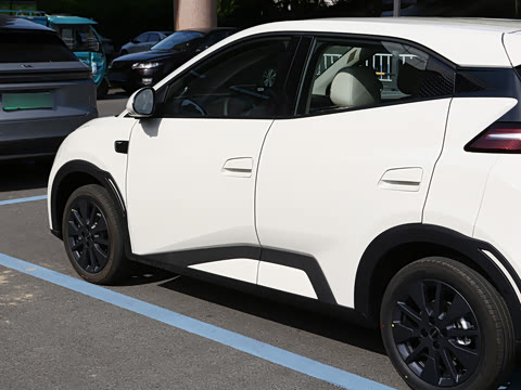 2026�� 305km ���ɰ�
