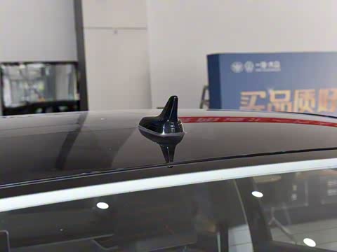 2025�� �Ŀ� 300TSI DSG���а�