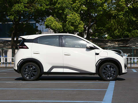 2026�� 305km ���ɰ�