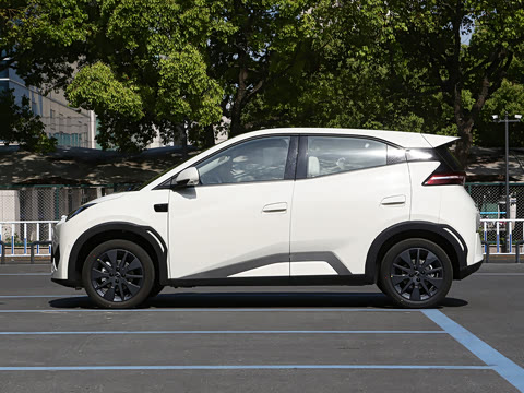 2026�� 305km ���ɰ�