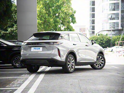 2025�� 100������Plus����