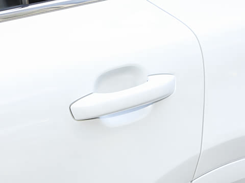 2025�� ���� Pro ������