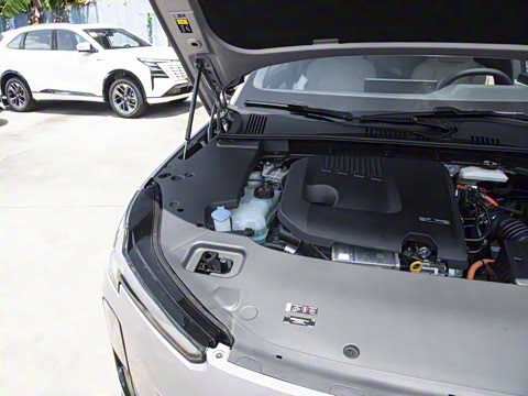 2026�� ������������Plus