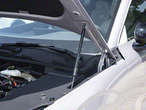 2026�� ������������Plus