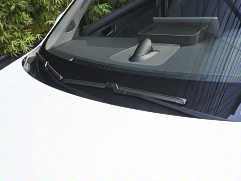 2025�� ���� Pro ������