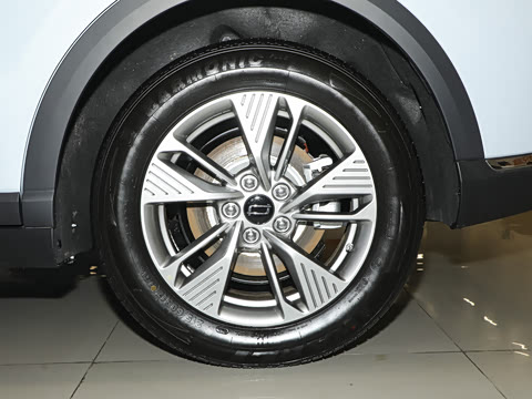 2025�� 565km ������