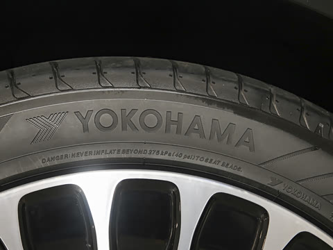 2025�� ���� Max