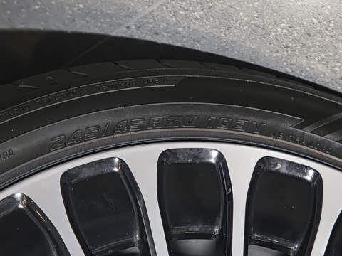 2025�� ���� Max