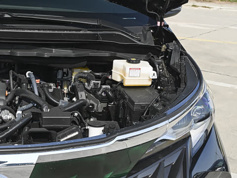 2025�� 2.5L ������