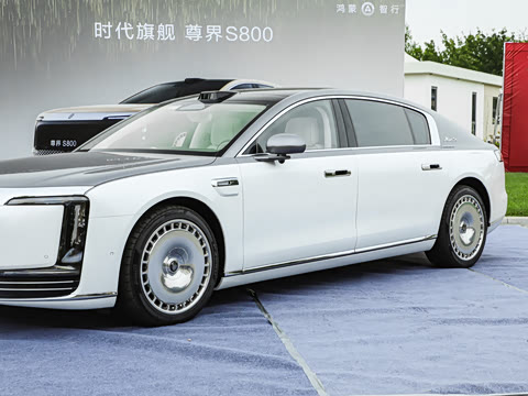 2025�� ���� �ǻ������� 4��