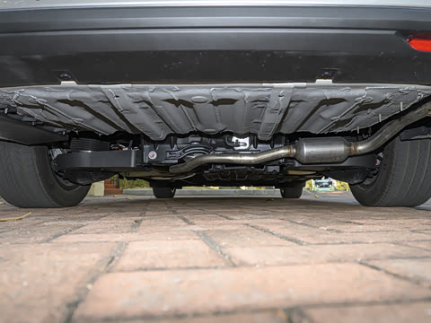 2026�� 1220����Max��