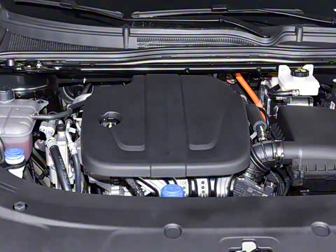 2026�� �����������̰� 310������