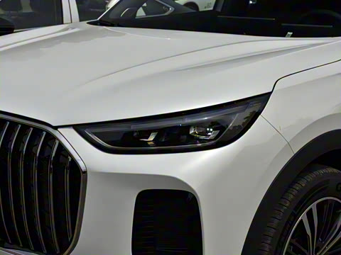 2026�� 9X 2.0T �Զ�����������