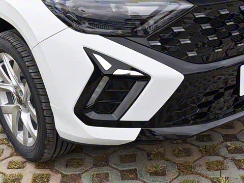 2026�� 280TSI �Զ��ȷ��