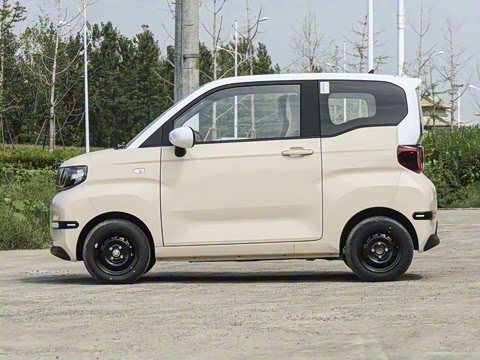 2025�� 205km ʥ����