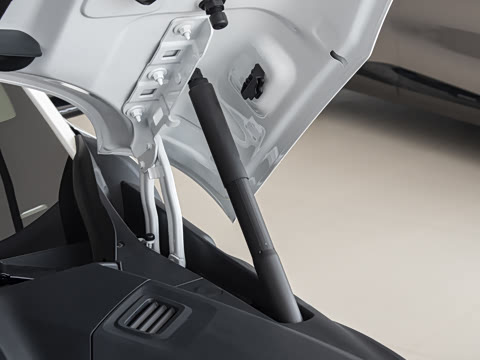 2025�� ������������Pro��