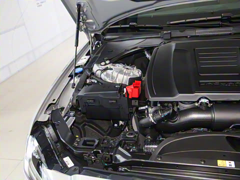 2025�� 2.0T P250 ��������������