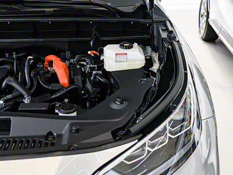 2026�� 2.5L���ܵ��˫������������ 7��