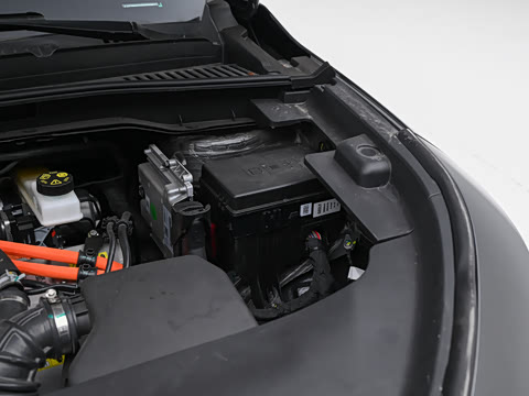 2026�� ���� ������