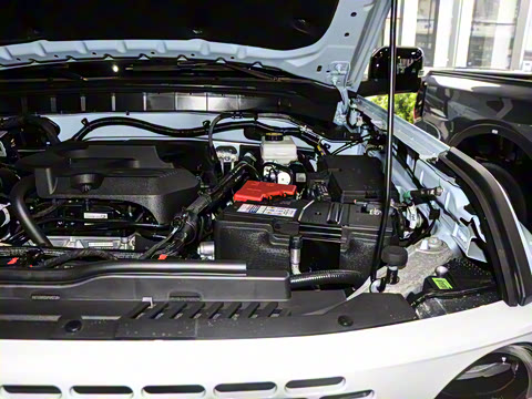 2025�� 2.3T 1966��Ű�