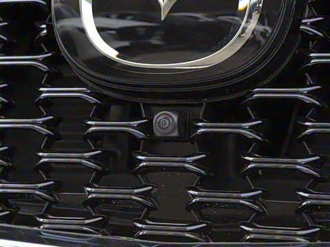 2025�� 2.0L �Զ���������Pro