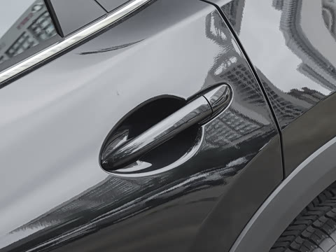 2025�� 2.0L �Զ���������Pro