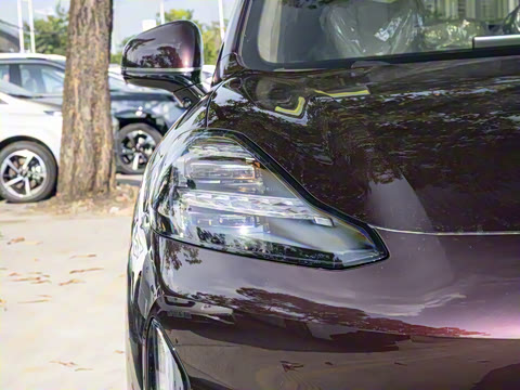 2025�� 825 Pro��