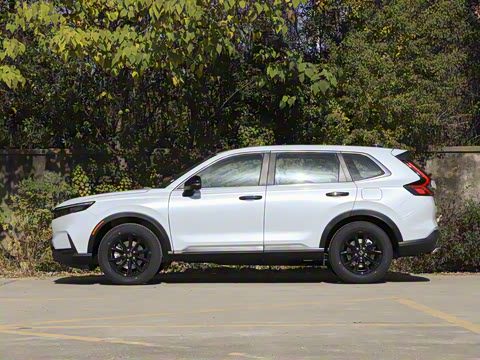 2026�� ȫ��30����ҫ�� 2.0L e:HEV �������а�