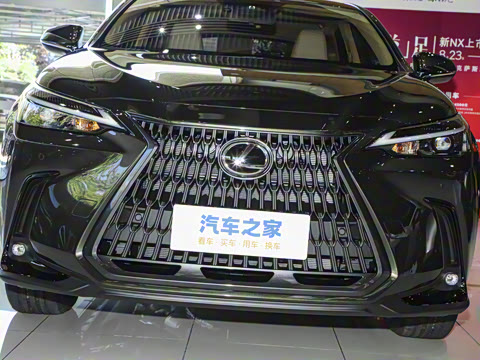 2025�� 350h JOY X