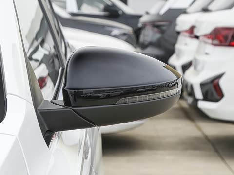 2026�� 300TSI DSG�ǿ����Ȱ�