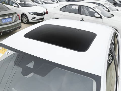 2026�� 300TSI DSG�ǿ����Ȱ�