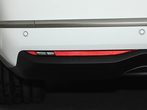2025�� Max ������