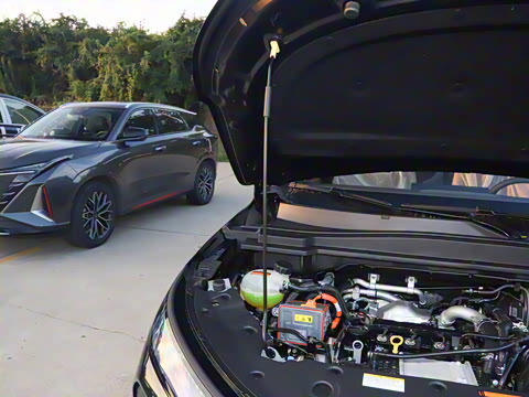 2025�� 112KM�����