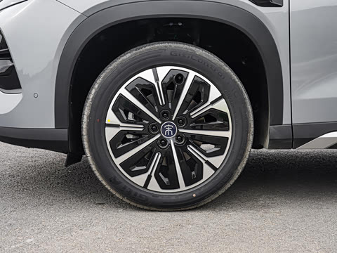 2026�� DM-i 310KM ��Խ��