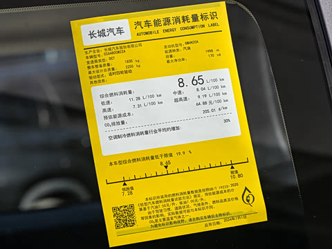 2025�� 2.0T 4WD Pro