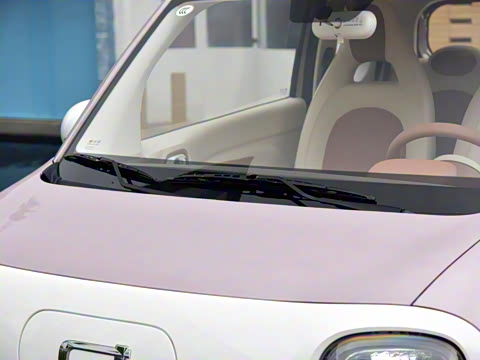 2026�� 222km ��ҫ��