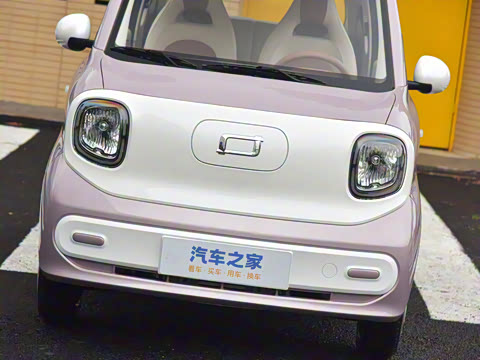 2026�� 222km ��ҫ��